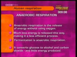 What is a cell bbc bitesize. Gcse Bbc Bitesize Higher Science Human Respiration Youtube