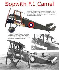 These sopwith model airplanes come in 1/20, 1/24, 1/32, 1/48 and 1/72 scale pre built diecast and mahogany display models and balsa wood and plastic model kits. Pin On Kinkead