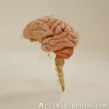 Pin On 3d Models