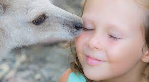 Easter in Port Douglas: Holiday Magic Meets Tropical Adventure