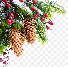 Browse 242,037 christmas tree stock photos and images available, or search for christmas or christmas tree outside to find more great stock photos and pictures. Christmas Tree Png Images Pngwing