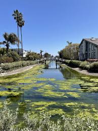 California Archives - childfreelifeadventures.com