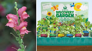 Check spelling or type a new query. Woolworths Discovery Garden Warning Over Toxic Seedling Posted On Facebook