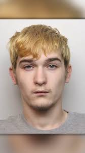 Vasile Culea arrested after murdering Freda Walker in Langwith Junction