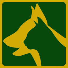 Consulta Veterinaria a Domicilio Puerto Varas