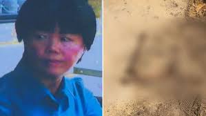 Ah Bee Mack Perth murder bones found in Mount Hawthorn backyard