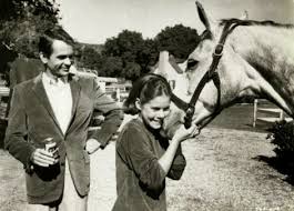 Silver Scenes - A Blog for Classic Film Lovers: The Horse in the Gray  Flannel Suit ( 1968 )
