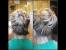 Step By Step Short Hair Bun