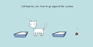 Some of the benefits of being a cat person are obvious. 10 Benefits Of Having A Cat Lingvistov