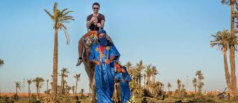 .discover a vast natural oasis and enjoy a sunset camel ride at marrakech palm explore marrakech palm grove desert from the camel's back. Marrakech Camel Rides 32 Camel Riding Tours In Marrakech