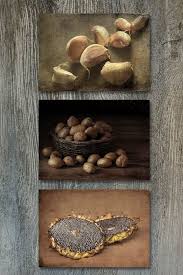 rustic kitchen decor set of 3 food by
