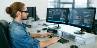 Software Developer Career Role Education Jobs Salary