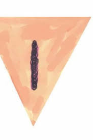 Pin On Har Dee Har Har