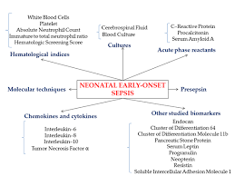 Image result for Neonatal Sepsis