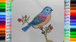Click the download button to find out the full image of mountain bluebird coloring page free, and download it to your computer. How To Draw Eastern Bluebirds Step By Step Coloring Pages For Kids Youtube