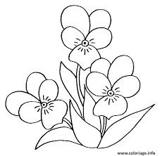 15 Fabuleux Coloriage De Fleur Photos Coloriage Fleur Coloriage Colorier