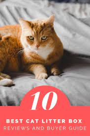 If You Are Adopting A Cat Or You Already Have A Pet Cat You Are Aware Of The Importance Of Finding The Best Cat Litter Cat Litter Box Cat Training