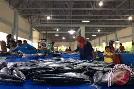 Harga ikan nila di pasaran. Di Palembang Ikan Nila Dijual Rp30 Ribu Per Kilogram Bertahan Pada Posisi Sebelumnya Antara Sumbar