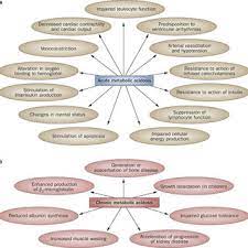 Pdf Metabolic Acidosis Pathophysiology Diagnosis And Management