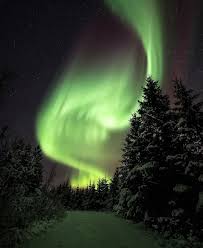 Evening At Auroraborealisobservatory Tag Someone You Would Go For A Night Walk And Watch Beautiful Landscape Photography Northern Lights Aurora Borealis