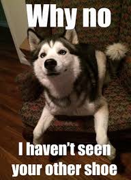 15 Irresistibly Funny Husky Memes Cute Animal Pictures Funny Dogs Funny Animal Pictures