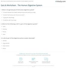 The human digestive system worksheet answers inspirational label. Quiz Worksheet The Human Digestive System Study Com