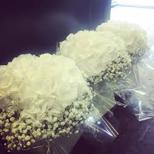 Blue hydrangea wedding hydrangea bouquet wedding ranunculus bouquet white ranunculus white tulips bride bouquets bridal flowers floral wedding bouquet cream silk hydrangea burlap lace groom's | etsy. Weddings Archives Page 2 Of 2 Jane Maples Flowers