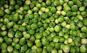 Check spelling or type a new query. 10 Foods That Help Reduce Joint Pain Cary Orthopaedics