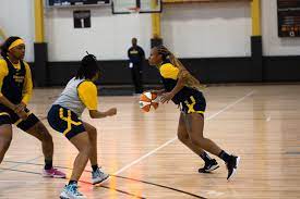 Assessing the Indiana Fever season after the halfway point - The Next