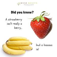 Our online 8th grade science trivia quizzes can be adapted to suit your requirements for taking some of the top 8th grade science quizzes. Nutrition Fun Facts Trivia
