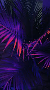 See more ideas about purple aesthetic, purple, aesthetic. 105 Hd Aesthetic Wallpaper Gallery Android Iphone Hd Wallpaper Background Download Png Jpg 2021