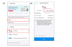 Notification sound in alipayhk are recorded by her as well. Settling Electricity Charges Via Alipayhk Hk Electric