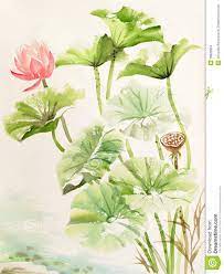 Watercolor Lotus Flower Tattoo Google Search Lotus Flower Painting Watercolors Watercolor Flowers Paintings Lotus Flower Watercolor