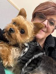 Managing Megaesophagus in Dogs