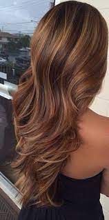 Tan Skin And Long Brown Hair With Highlights Brunette Hair With Highlights Hair Styles Highlights For Dark Brown Hair