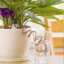 Diy Automatic Plant Watering System For Next To Nothing Plant Watering System Garden Watering System Automatic Watering System