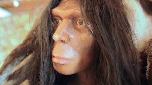 Maybe you would like to learn more about one of these? Was Charles Darwin Wrong 1000 Eminent Scientists Go Public With Doubts On Evolution Theory