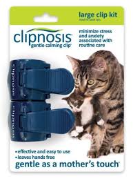Bird Safe Cat Collar Canada Ourpets Realbird Purple Cat Toy With Catnip And Real Bird Sounds Ebay Calming Cat Cat Pet Supplies Cats