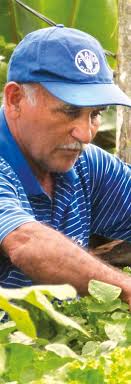 National processes shaping food systems transformations