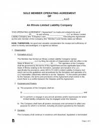 Many websites trying to sell you llc forms and services will you that if you don't have a solid single member llc operating agreement you'll lose protection. Free Illinois Single Member Llc Operating Agreement Form Pdf Word Eforms