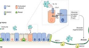 Journal of cell animal biology. J9h1y1wnxsja1m