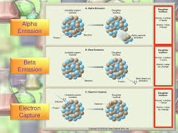 As the uranium in rocks decays, it emits subatomic. Absolute Age Dating Absolute Ages Radiometric Dating Ppt Download