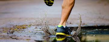 Image result for Running Shoe