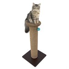 Kitty City Premium Woven Sisal Carpet Scratching Post Fleece Bed Furniture Total Height 32 Inches For Addi Cat Post Cat Scratching Cat Scratching Furniture
