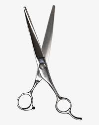 We did not find results for: Morihei Yoshitomo Hair Cutting Shears 180mm Scissors Transparent Png 823x1024 Free Download On Nicepng