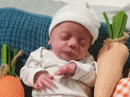 Fundraiser for Cheryl Tuggle by Vanessa Ketring : Help Lay Baby Everest to  Rest