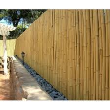 Rolled Bamboo Fencing Bamboo Fence Fence Planning Garden Fence Panels