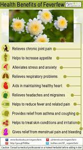 Pin On Herbs And Spices
