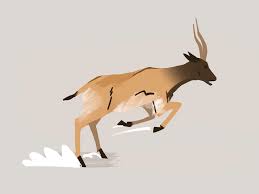 Exaggeration Animal Illustration Gazelle Frame By Frame Animation