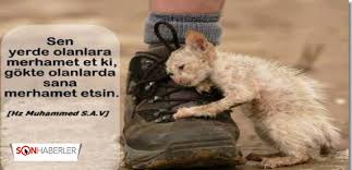 Hadisler Peygamber Efendim Hz Muhammed I Sozleri Sonhaberler